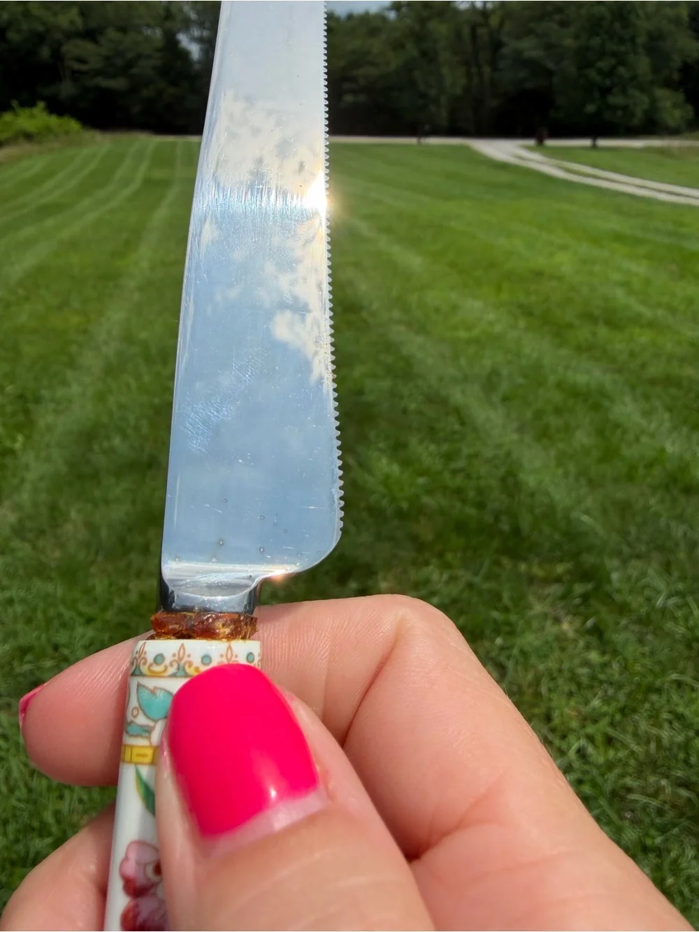 Coalport Cutlass KNIFE Fine Bone China Handle Floral - Sheffield Cutlery England
